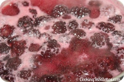 Blackberry Vanilla Syrup - Bubble