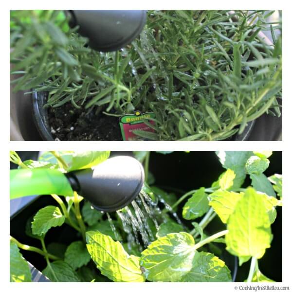 OXO Spring Gardening - Watering the Plants | Cooking In Stilettos