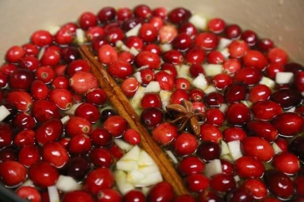 Homemade Cranberry Sauce with Orange and Apple - Adding a Hint of Spice | CookingInStilettos.com