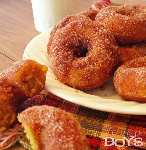 Delicious Dishes Recipe Party - Thanksgiving Recipes - Baked Pumpkin Spice Donuts from the Joys of Boys | CookingInStilettos.com