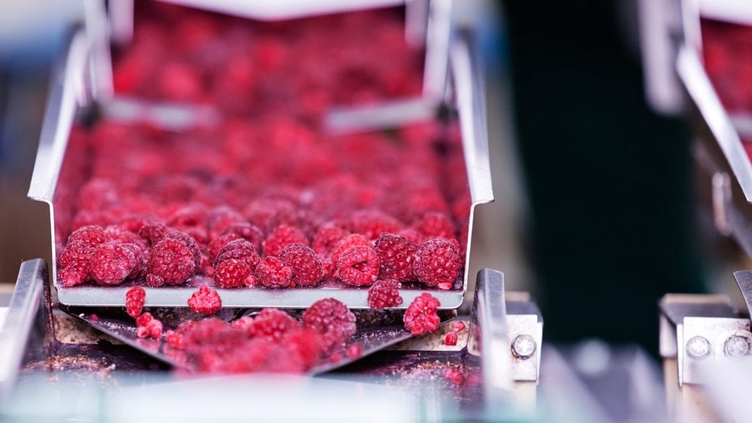 The Rise of Engineered Food Products 2024 Guide Cooking in Stilettos