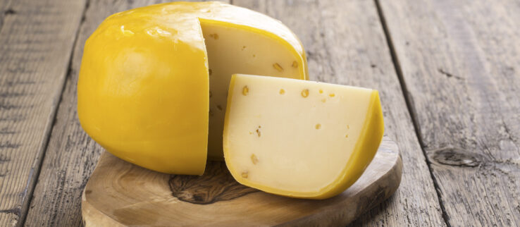 Netherlands Cheese