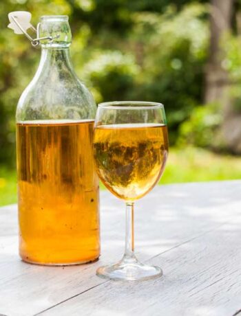 Introduction To Mead
