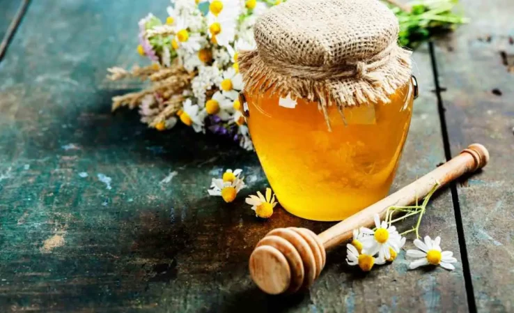 Health Benefits Of Mead