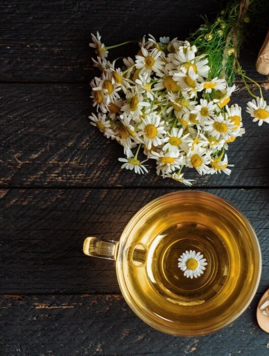 Why Chamomile Tea Is so Popular Among Those Wanting Increased Wellness