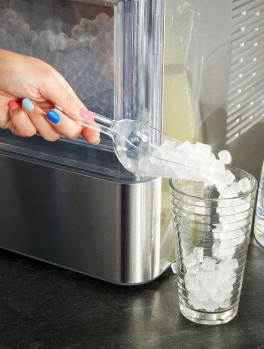 The Scoop on Commercial Ice Makers Are They Worth the Chill