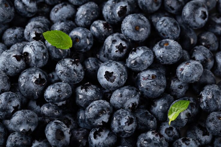 a bunch of blueberries