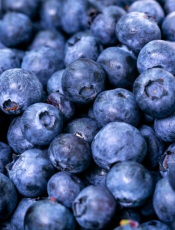 blueberry benefits