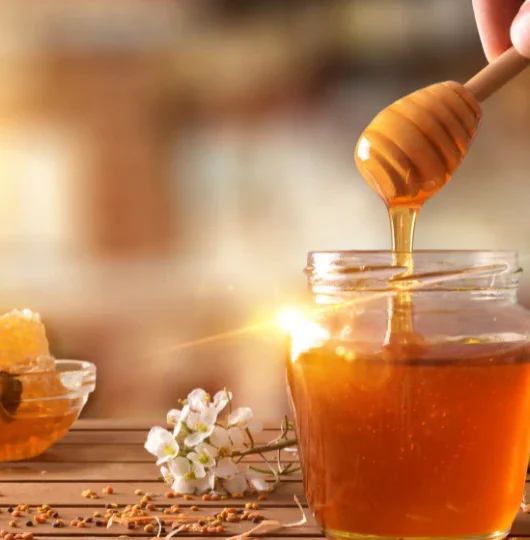Organic Honey